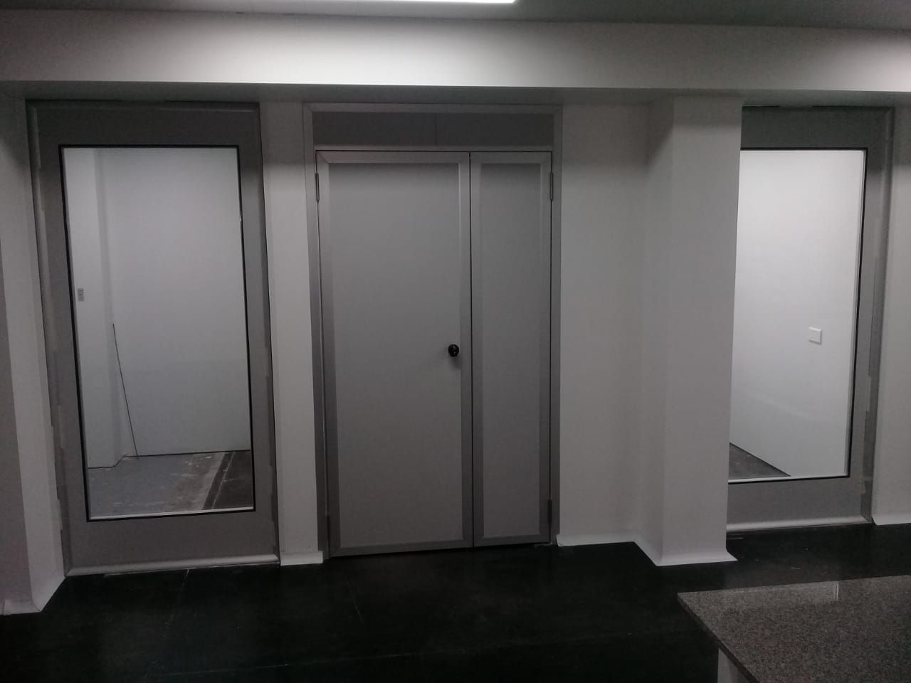 Puerta doble y paneles vidriados de sala limpia